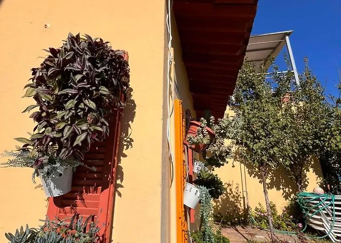 Evgenios
