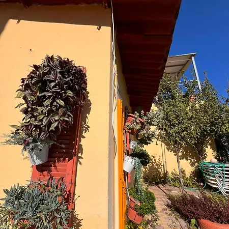 Evgenios